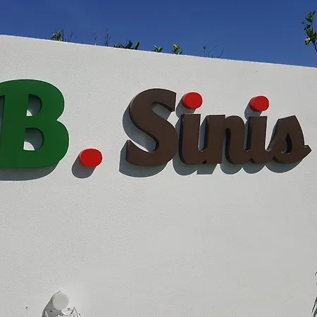 B. Sinis *